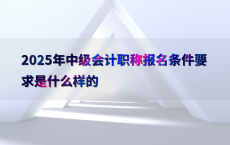 2025年中级会计职称报名条件要求是什么样的