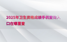 2025年卫生资格成绩手机查询入口在哪里查
