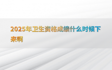 2025年卫生资格成绩什么时候下来啊