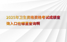 2025年卫生资格资格考试成绩查询入口在哪里查询啊