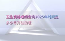 卫生资格成绩查询2025年时间是多少号开始的呢