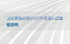 卫生资格成绩2025年查询入口在哪里啊