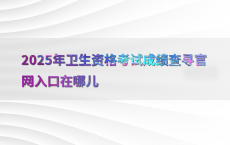 2025年卫生资格考试成绩查寻官网入口在哪儿