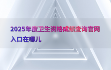 2025年度卫生资格成绩查询官网入口在哪儿