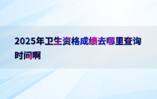 2025年卫生资格成绩去哪里查询时间啊