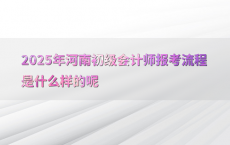 2025年河南初级会计师报考流程是什么样的呢