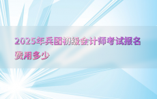 2025年兵团初级会计师考试报名费用多少