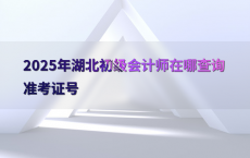 2025年湖北初级会计师在哪查询准考证号