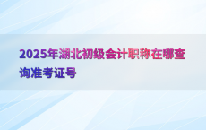 2025年湖北初级会计职称在哪查询准考证号