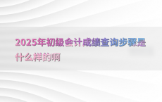 2025年初级会计成绩查询步骤是什么样的啊