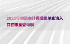 2025年初级会计师成绩单查询入口在哪里查询啊