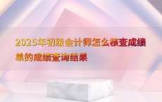 2025年初级会计师怎么核查成绩单的成绩查询结果