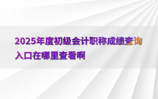 2025年度初级会计职称成绩查询入口在哪里查看啊