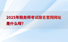 2025年税务师考试报名官网网址是什么呀?
