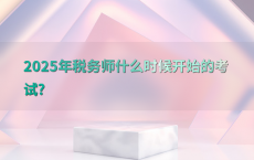 2025年税务师什么时候开始的考试?