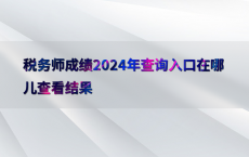 税务师成绩2024年查询入口在哪儿查看结果