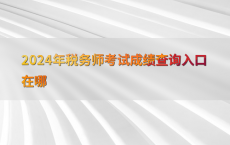 2024年税务师考试成绩查询入口在哪
