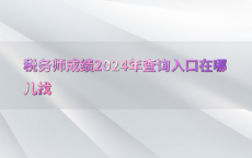 税务师成绩2024年查询入口在哪儿找