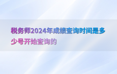 税务师2024年成绩查询时间是多少号开始查询的