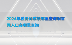 2024年税务师成绩哪里查询啊官网入口在哪里查询