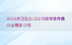 2026年卫生资格证书报考条件是什么啊多少钱