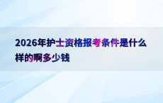 2026年护士资格报考条件是什么样的啊多少钱
