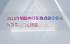 2025年初级会计职称成绩手机查询官网入口在哪里