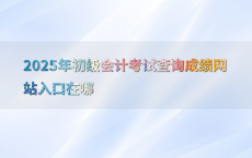 2025年初级会计考试查询成绩网站入口在哪