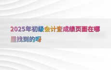 2025年初级会计查成绩页面在哪里找到的呀
