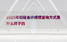 2025年初级会计成绩查询方式是什么样子的