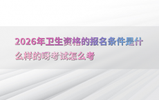 2026年卫生资格的报名条件是什么样的呀考试怎么考