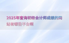 2025年查询初级会计师成绩的网站有哪些平台啊