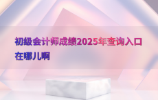 初级会计师成绩2025年查询入口在哪儿啊