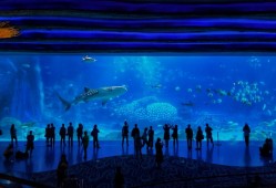 2026重庆融创海世界春秋假免票游玩指南