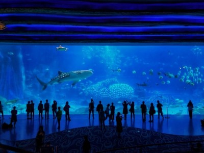 2026重庆融创海世界春秋假免票游玩指南