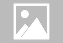 2026年聊城市教育和体育局直属学校公开招聘（选聘）工作人员报名情况（4月24日）