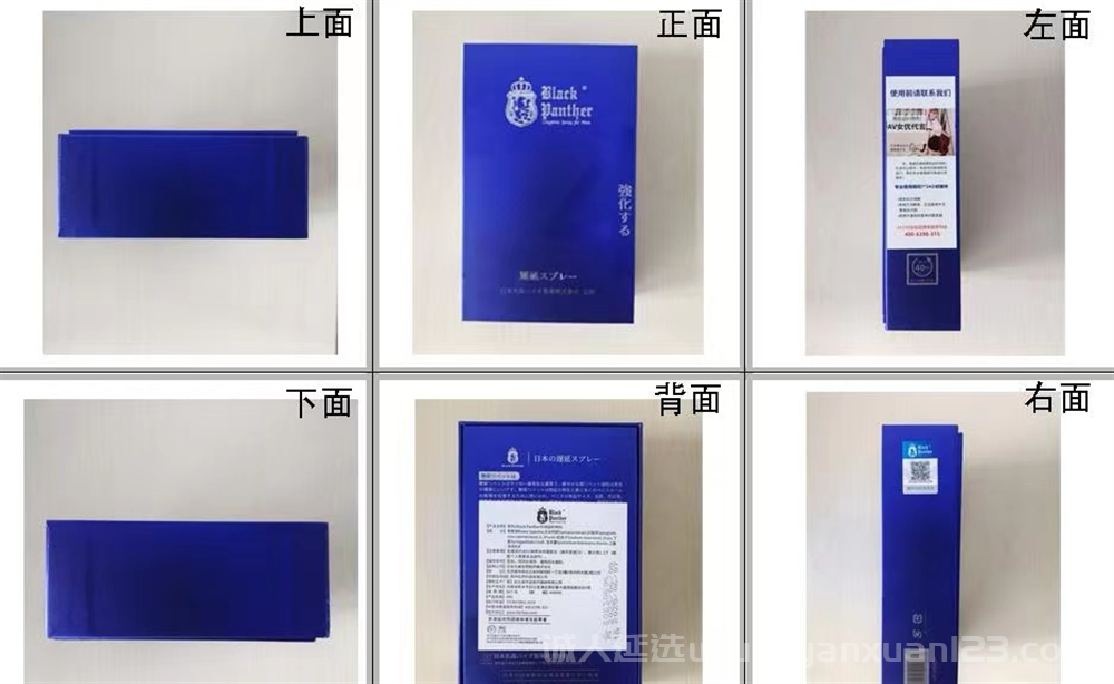 黑豹2.png