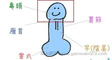 2023090401461615301.webp.jpg